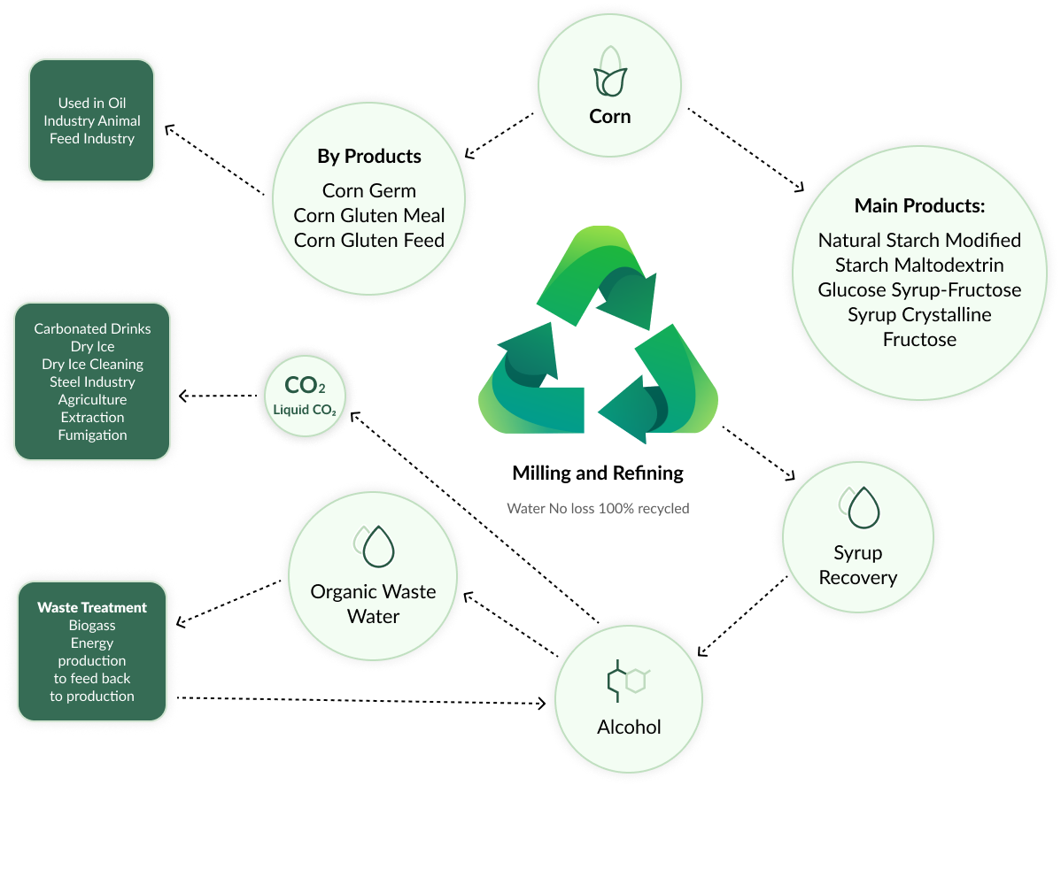Sustainability